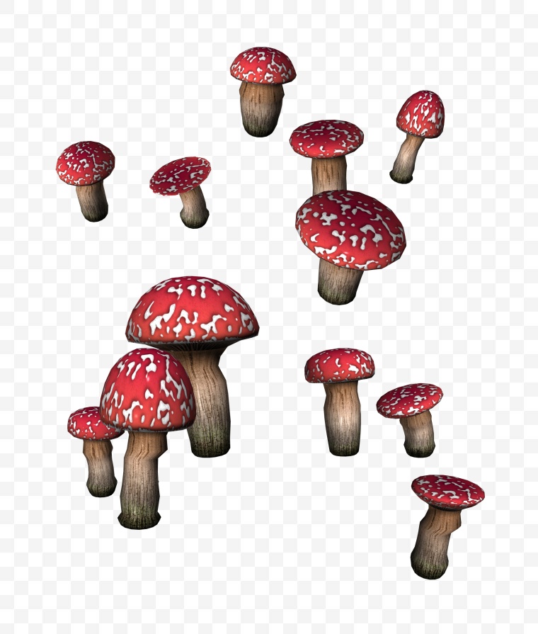 蘑菇 毒蘑菇 