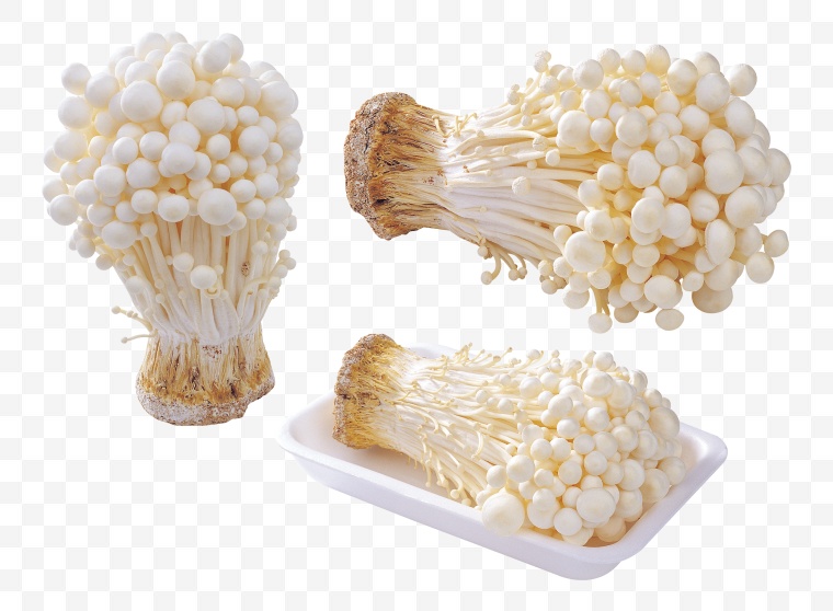 蘑菇 金针菇 