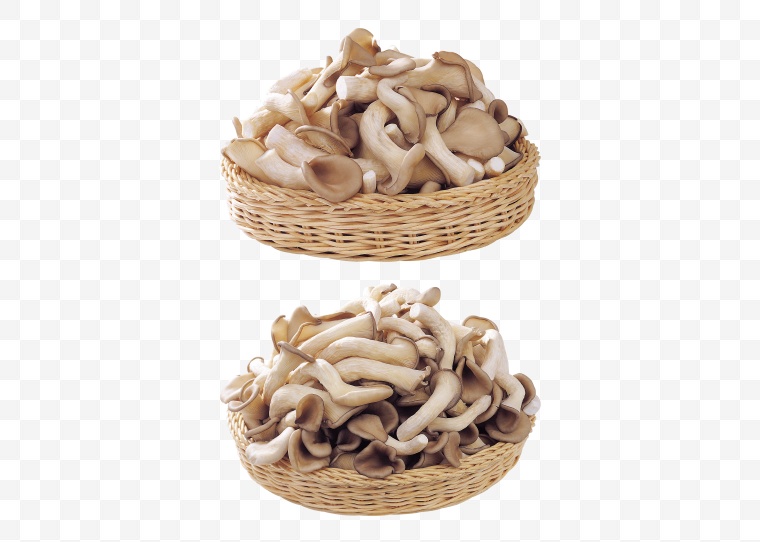 蘑菇 秀珍菇 
