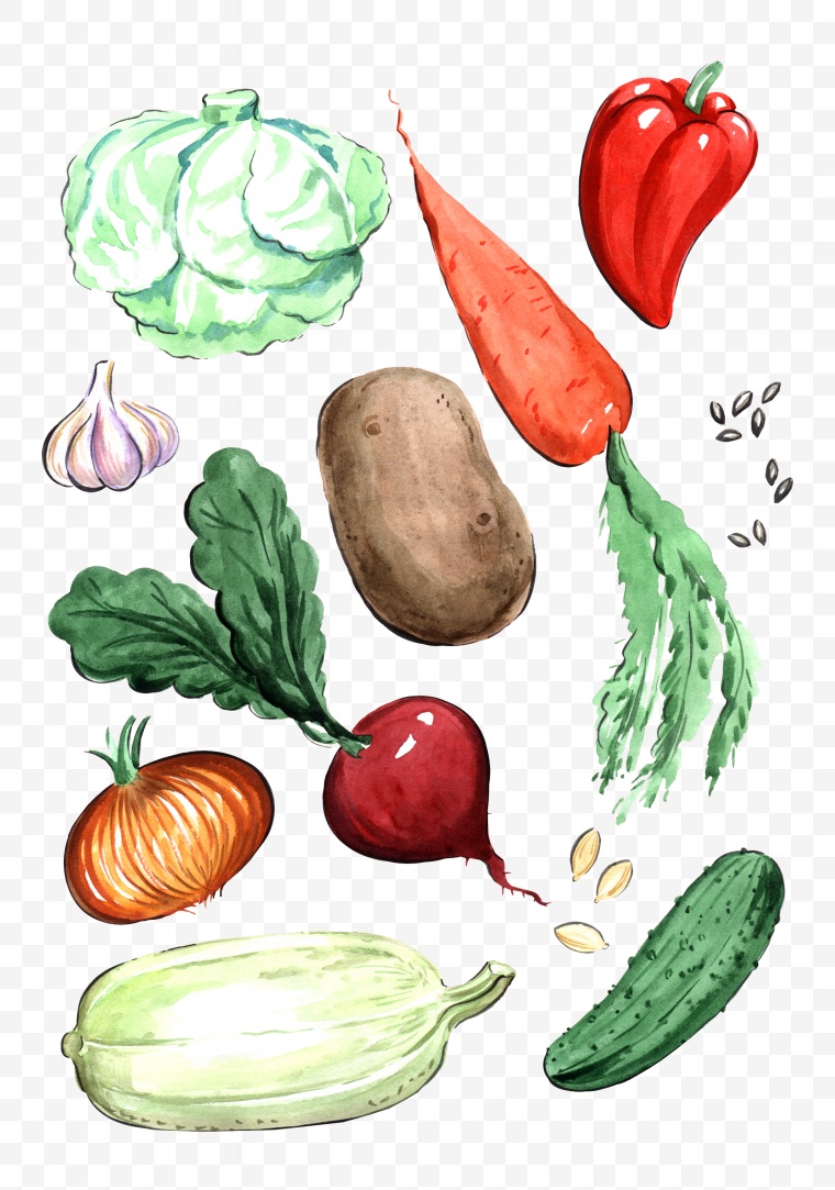 蔬菜综合 蔬菜集合 时令蔬菜 新鲜蔬菜 