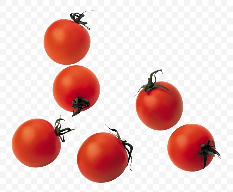 西红柿 番茄 