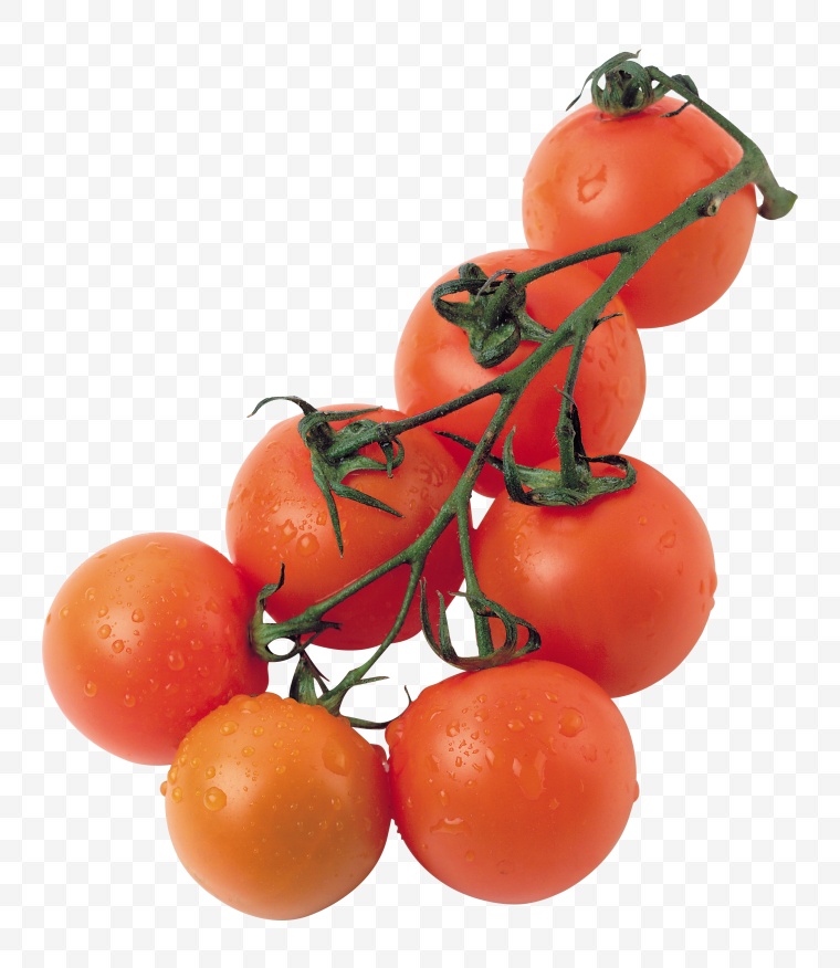 西红柿 番茄 圣女果 