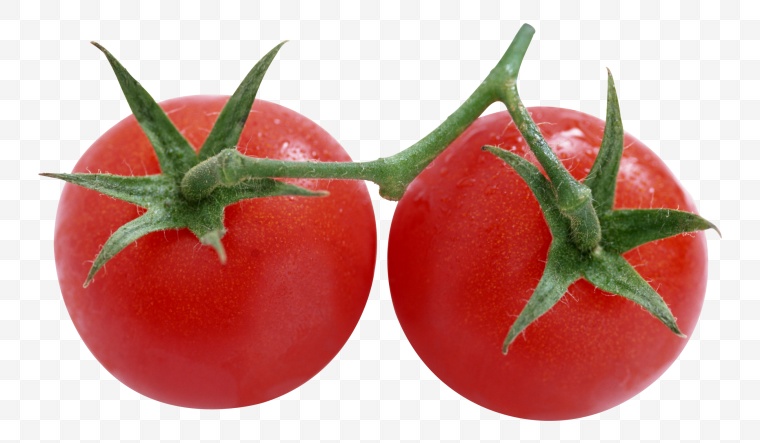 西红柿 番茄 圣女果 