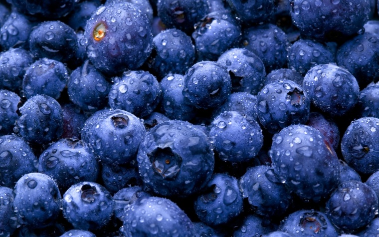 蓝莓 水果背景 水果 