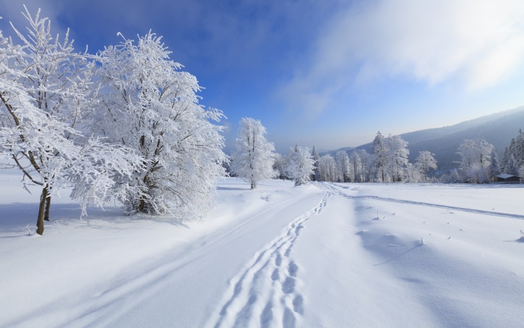 冬季 雪景 雪地 冬天 