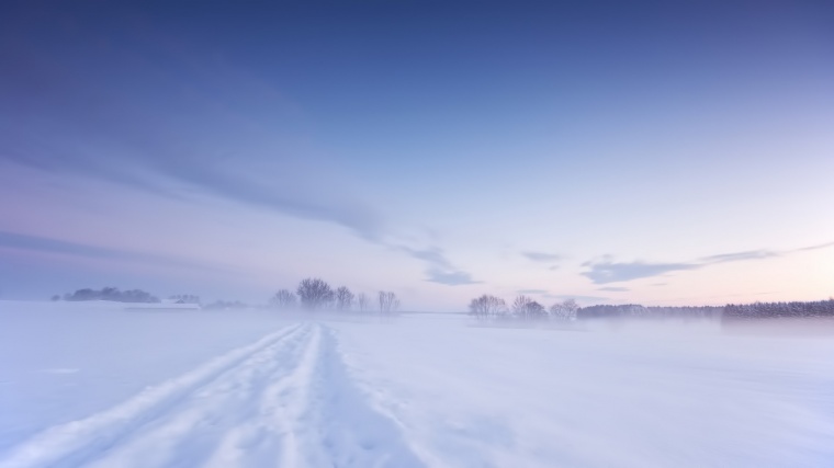 冬季 雪景 雪地 冬天 