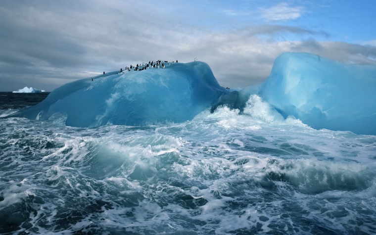 海浪 海水 大海 冰山 企鹅 
