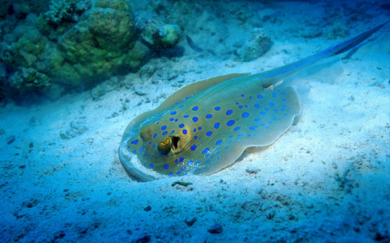 海底 海水 