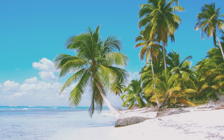 海滩 沙滩 椰树 蓝天白云 夏天 