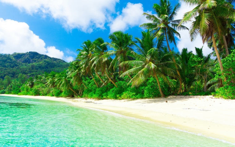 海滩 沙滩 椰树 蓝天白云 夏天 