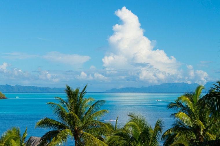 海滩 沙滩 椰树 蓝天白云 夏天 