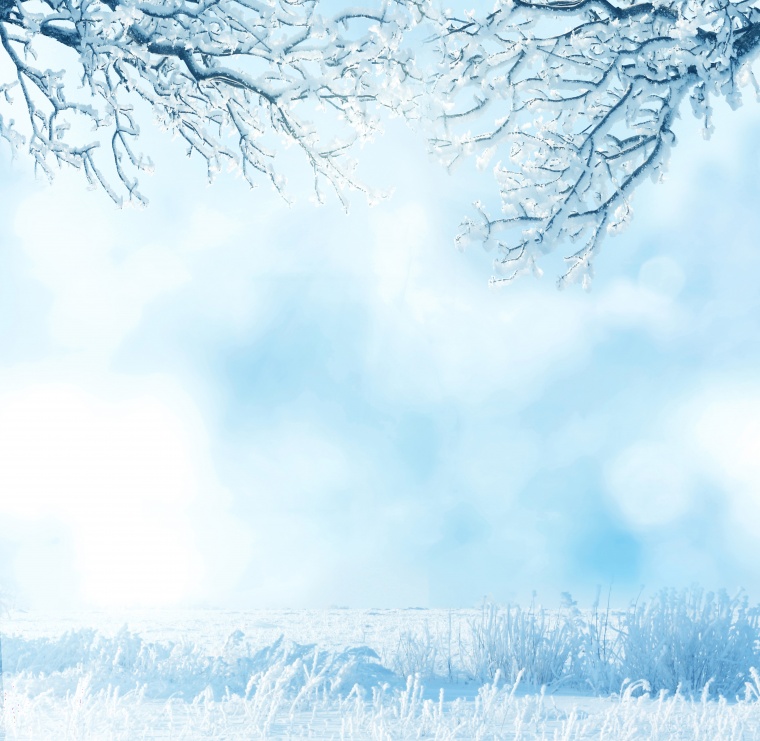 冬季 雪景 雪地 冬天 淡蓝色背景 
