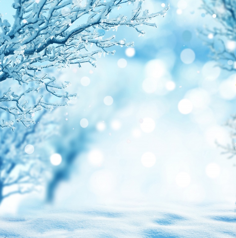 冬季 雪景 雪地 冬天 淡蓝色背景 光斑 