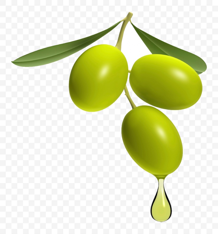 橄榄 橄榄果 