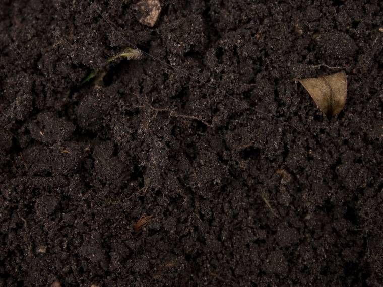 潮湿的土壤 土壤 黑色的土壤 土壤纹理 
