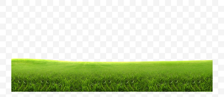 绿色草地 草地 草坪 