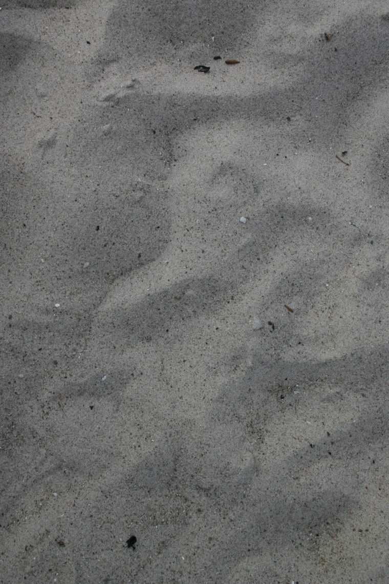 沙的纹理 沙地 