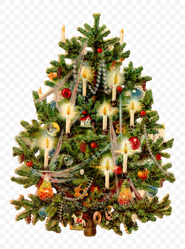 圣诞节 圣诞快乐 圣诞节标志 圣诞树 
