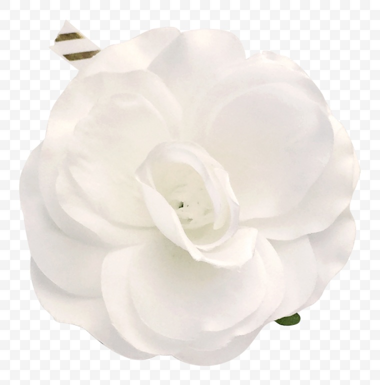 婚礼物品 白色的花 花 