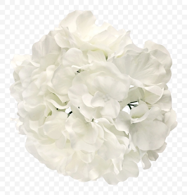 婚礼物品 白色的花 花 
