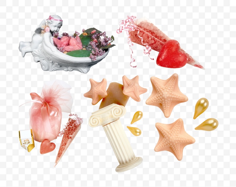 贝壳 海星 