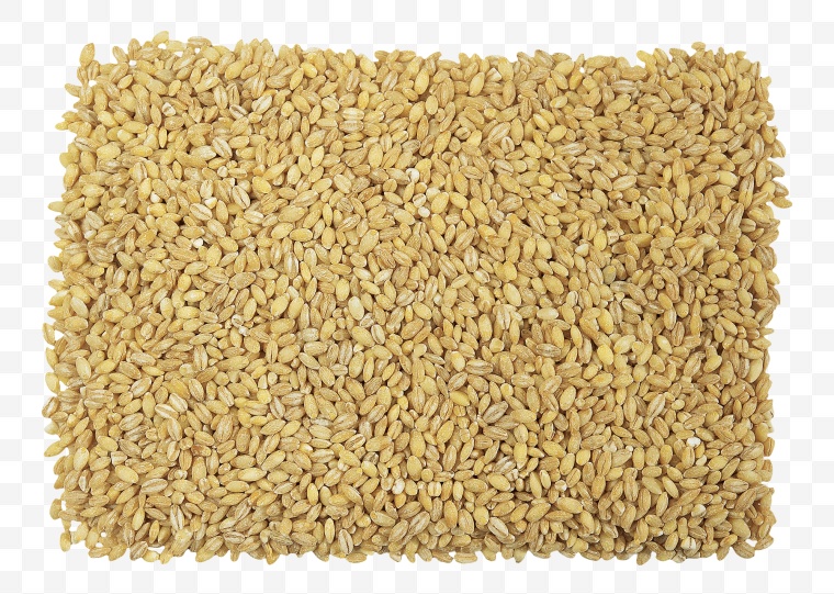 谷物 五谷 小麦 麦粒 