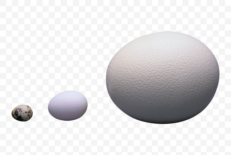 鸡蛋 蛋 