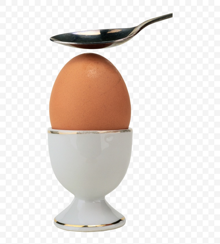 鸡蛋 蛋 