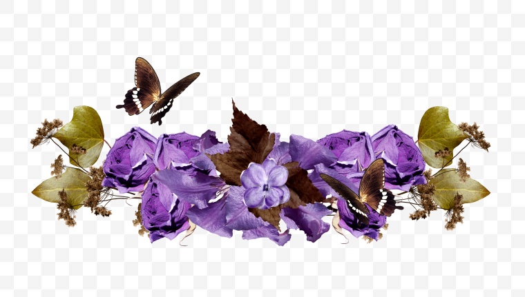 紫色薰衣草 紫色的花 薰衣草 花束 花 