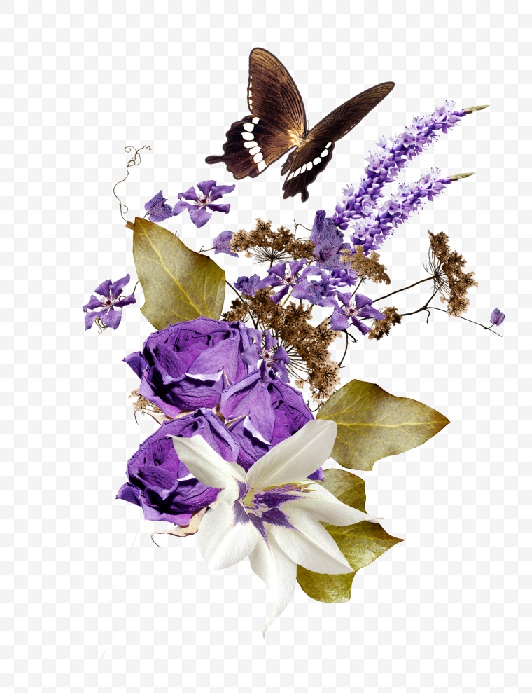 紫色薰衣草 紫色的花 薰衣草 花束 花 