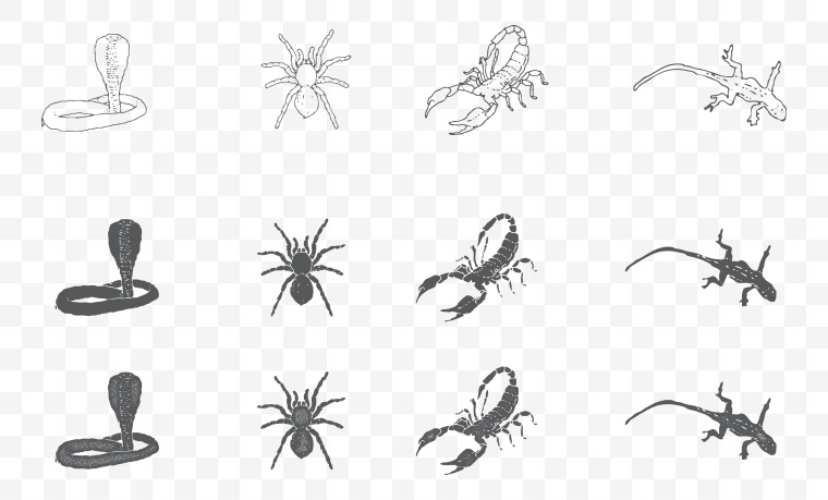 手绘动物 野生动物 动物轮廓 动物剪影 手绘蜘蛛 手绘蝎子 蜘蛛剪影 蝎子剪影 