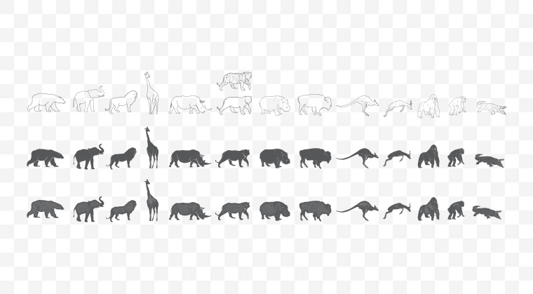 手绘动物 野生动物 动物轮廓 动物剪影 熊 大象 狮子 长颈鹿 犀牛 老虎 袋鼠 猩猩 猴子 鳄鱼 