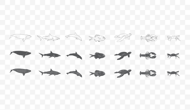 手绘鱼 鱼轮廓 鱼剪影 鱼 鲨鱼 龙虾 螃蟹 海龟 鲸鱼 海豚 