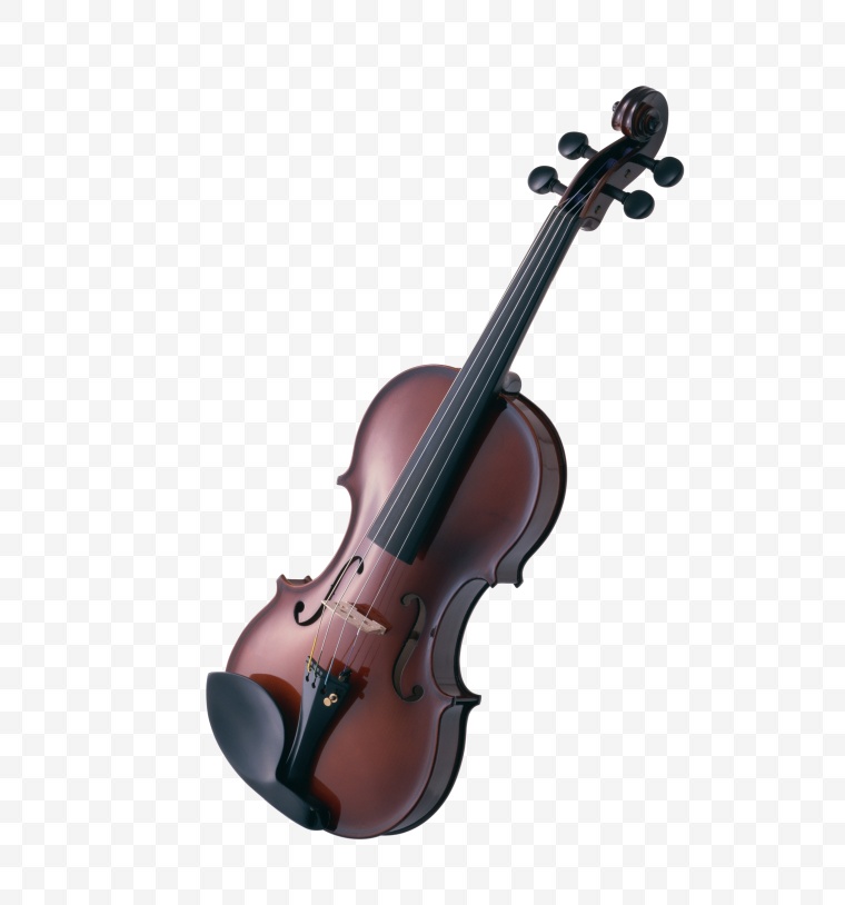 小提琴 乐器 弦乐器 琴 