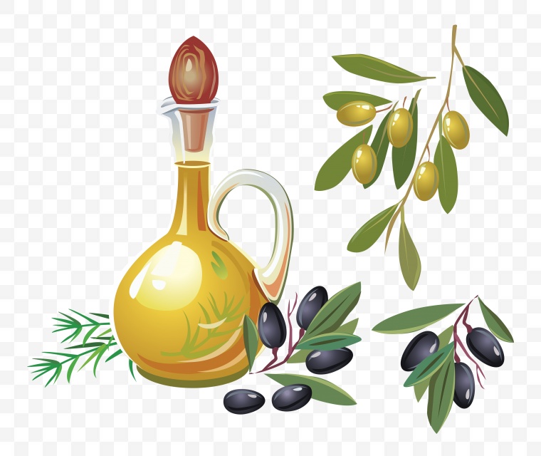 油 食物 橄榄油 食用油 调料 植物油 