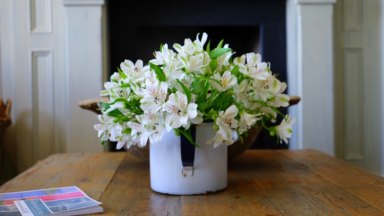 花 鲜花 白花 百合 花瓶 室内 居室 美丽 花卉 高清背景 背景图 