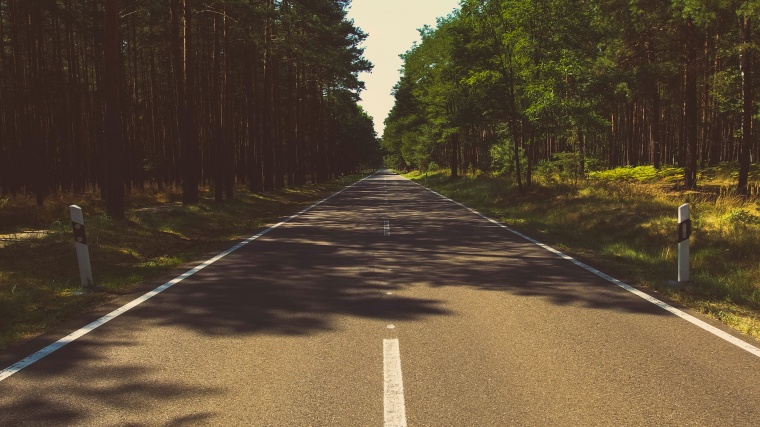 路 道路 树林 树荫 马路 大路 背景图 高清背景图片 图片素材 