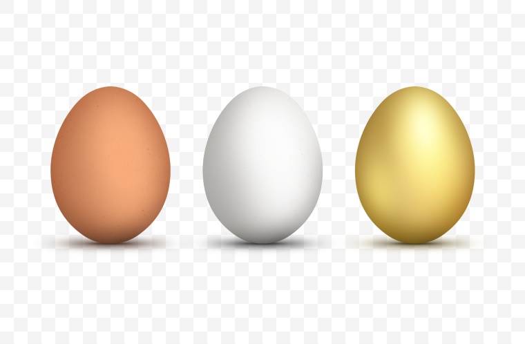 鸡蛋 蛋 土鸡蛋 洋鸡蛋 金蛋 白蛋 