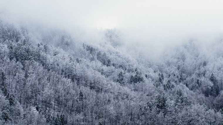 雪山 冬天 冬季 雪 雪地 山 树 树林 自然 季节 背景图 背景 高清背景 