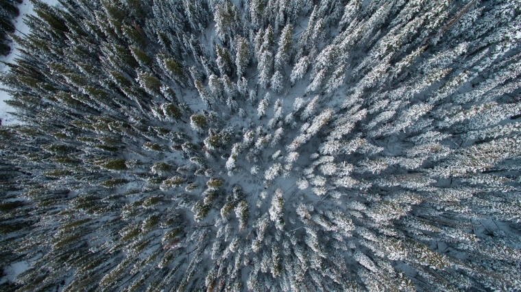 雪山 冬天 冬季 雪 雪地 山 山脉 天空 树 树林 自然 季节 背景图 背景 高清背景 