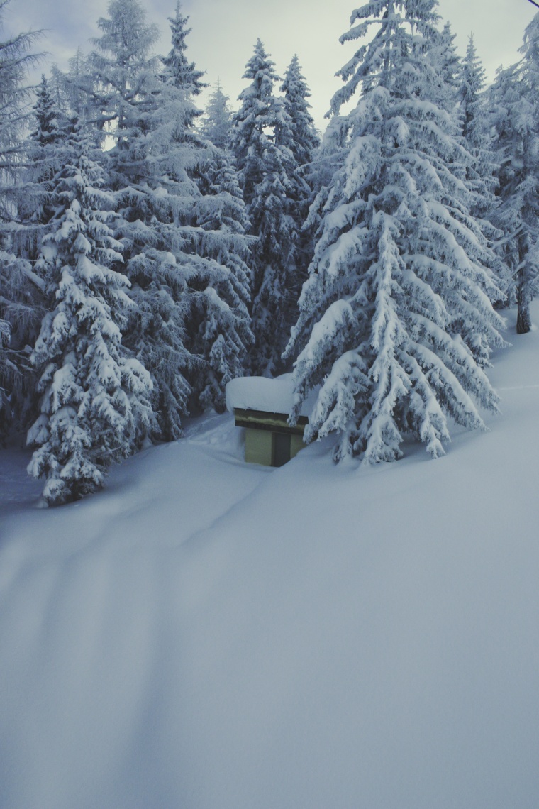 雪山 冬天 冬季 雪 雪地 山 树 树林 自然 季节 背景图 背景 高清背景 