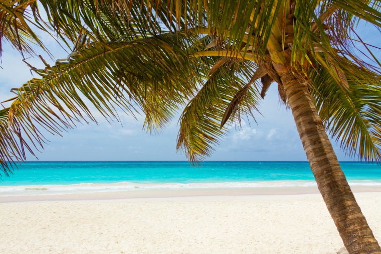 海滩 椰树 椰子 树 海水 沙滩 天空 自然 风景 背景图 高清背景 背景 