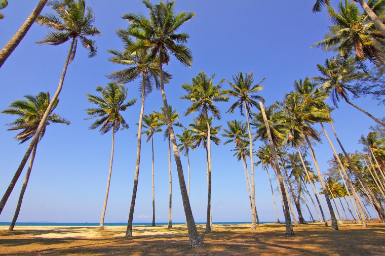 海滩 海边 沙滩 天空 自然 海 大海 椰树 风景 背景图 高清背景 背景 