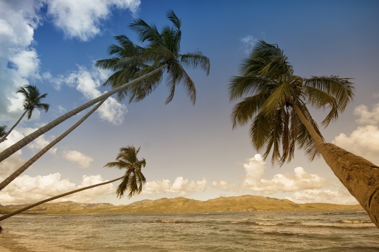 海滩 海边 沙滩 天空 自然 海 大海 椰树 风景 背景图 高清背景 背景 