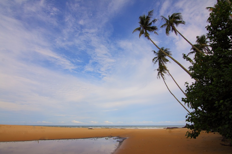 海滩 海边 沙滩 天空 自然 海 大海 蓝天 白云 椰树 风景 背景图 高清背景 背景 