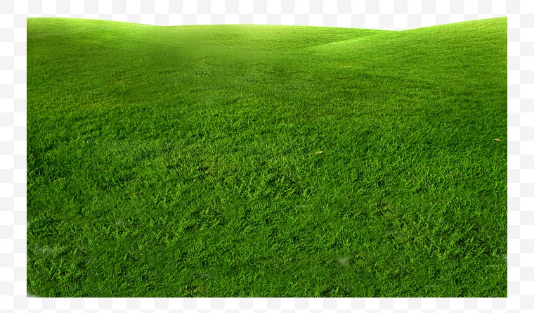 草地草坪 草地 草坪 绿地 
