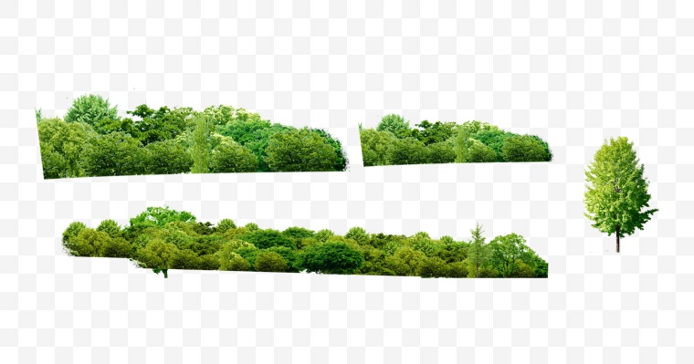 树林 树 树木 绿色环保 绿色 环保 绿色的树 森林 