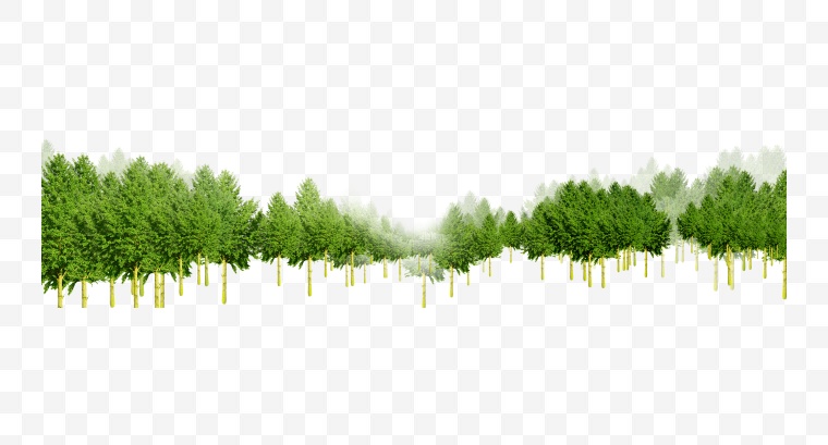树林 树 树木 绿色环保 绿色 环保 绿色的树 