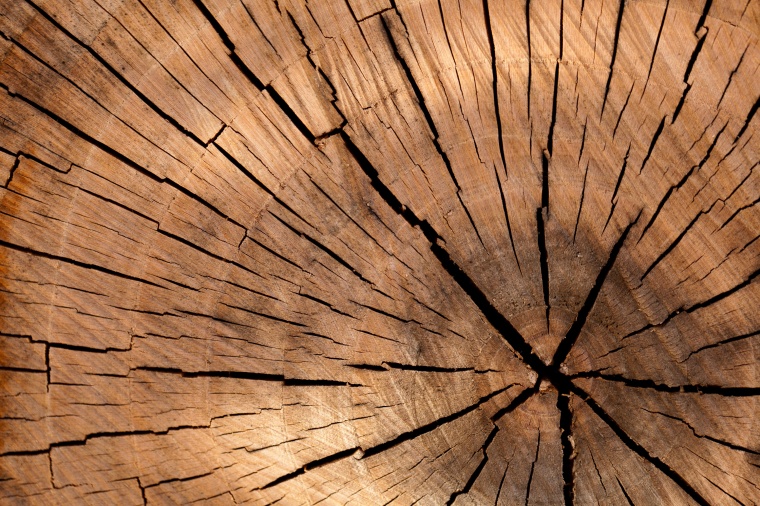 木材 木纹 木板 木头 年轮 背景 背景图 高清背景 