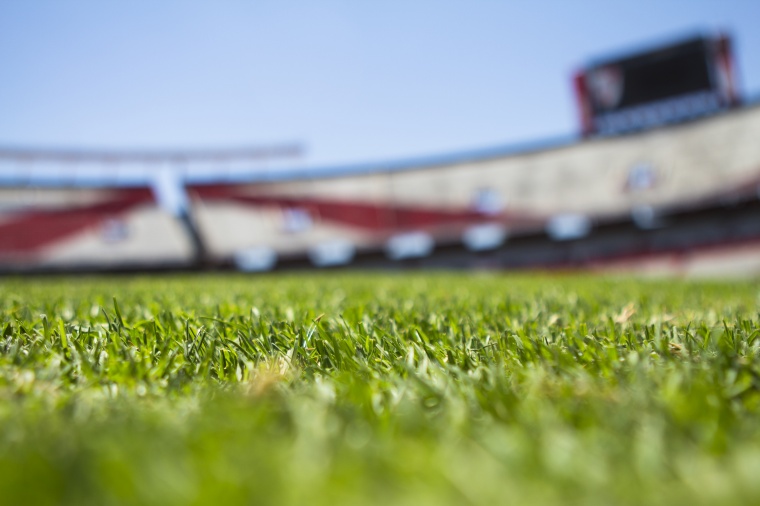 足球场 天空 体育场 露天体育场 草 草坪 背景 背景图 高清背景 世界杯 
